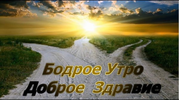 Бодрое утро