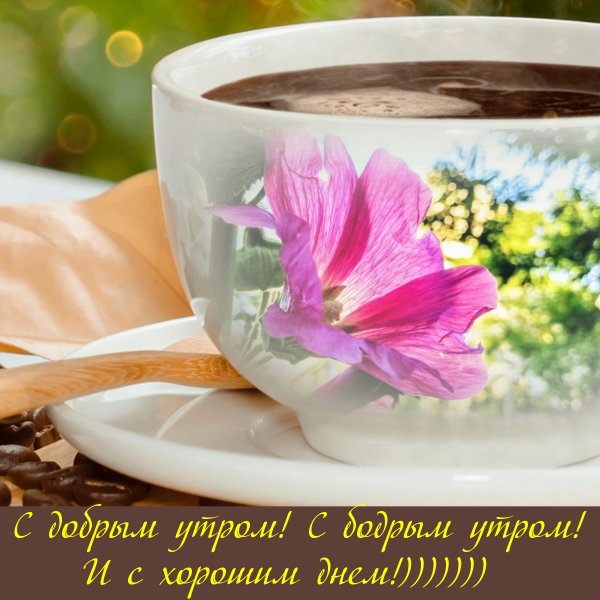 Бодрого доброго утра