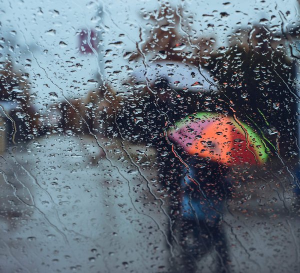 Картинка дождливое утро (35 фото)