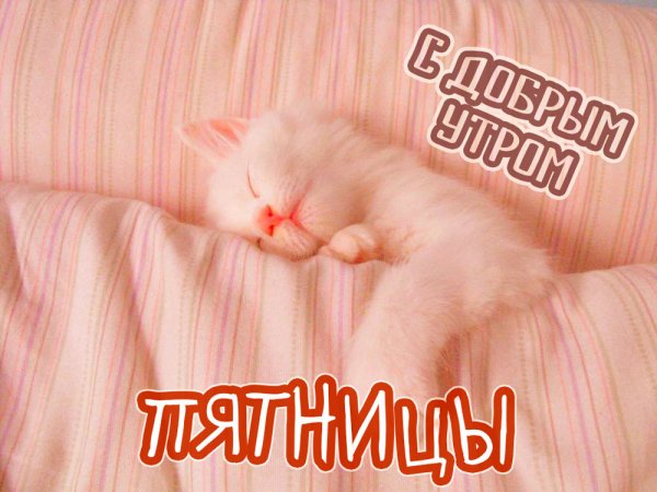 Доброе утро пятницы