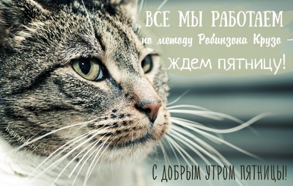 С добрым пятничным утром