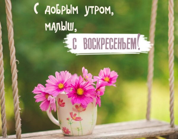 С добрым воскресным утром картинки