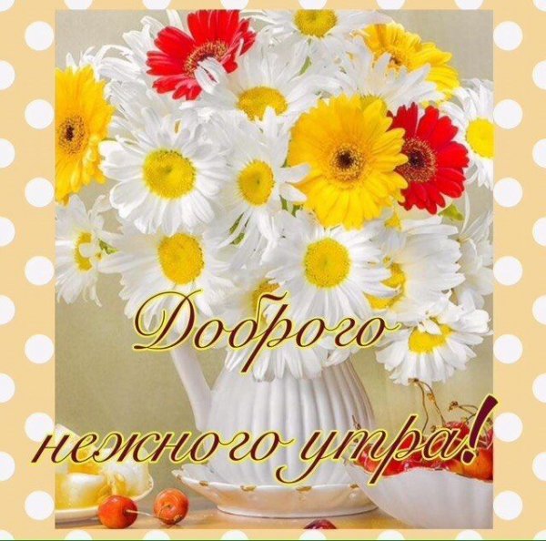 С добрым воскресным утром