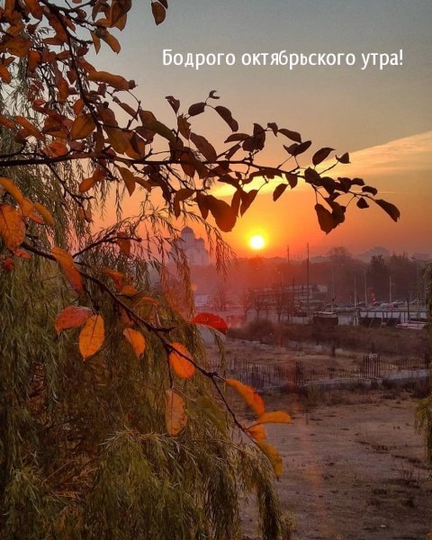 Утренний Октябрьский сумрак