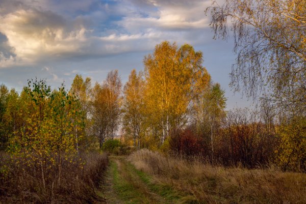 Осеннее Октябрьское утро