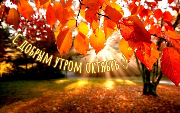 С добрым Октябрьским утром