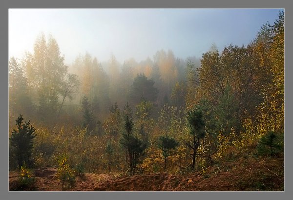 Осеннее Октябрьское утро