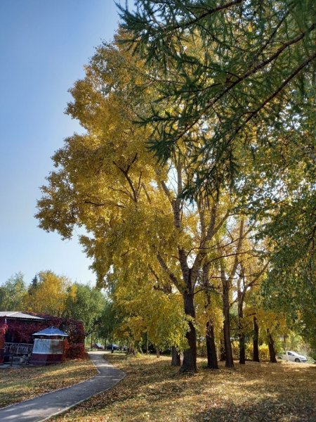 Осенний Октябрьский день