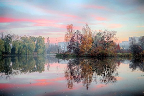 Доброе Октябрьское утро в лесу