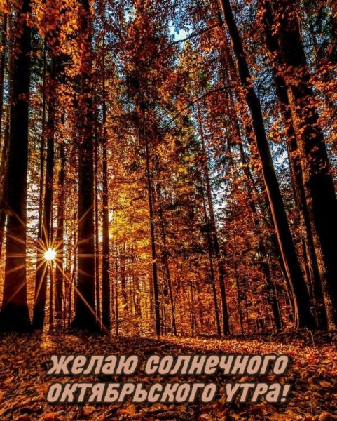 Осеннее Октябрьское утро