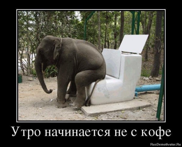 Утро начинается не с КОФ