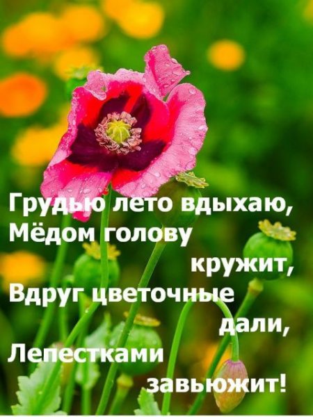 Утро начинается с рассвета Здравствуй Необъятная Страна