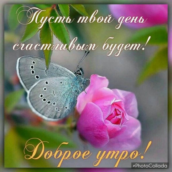 Здравствуй новый день доброе утро
