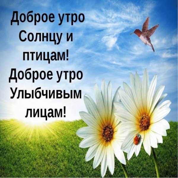 Добра с утра