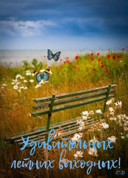Доброе утро лето