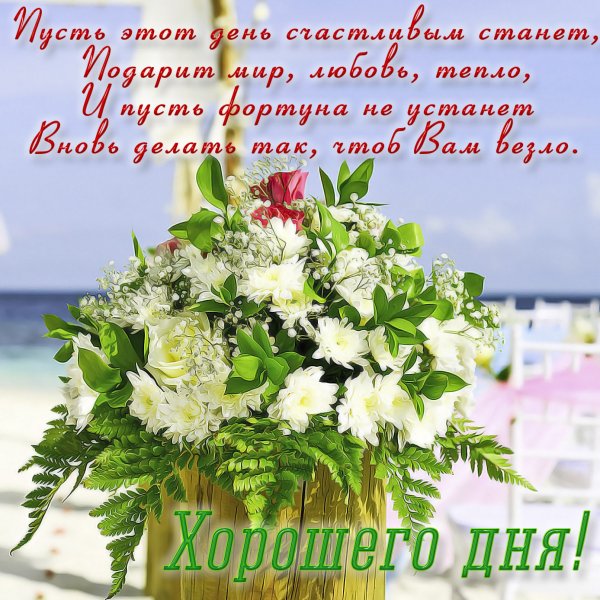 Доброе утро с цветами и пожеланиями