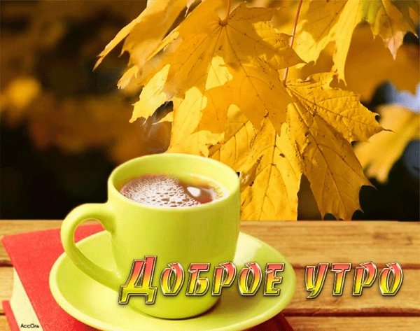 Доброе осеннее утро