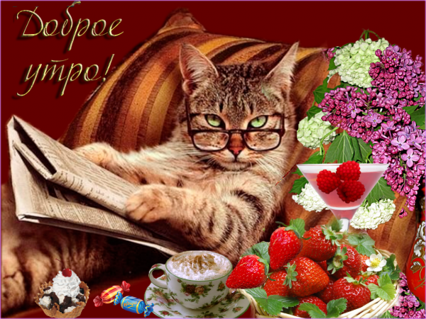 Открытки с добрым утром