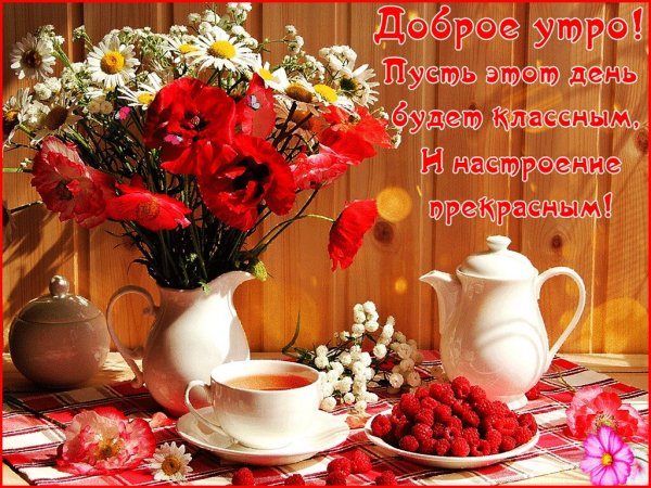 Доброе утро прекрасного дня