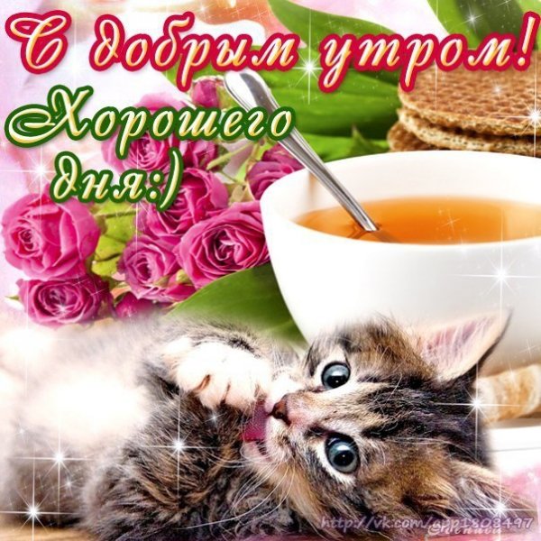 Открытки с добрым утром и хорошим настроением