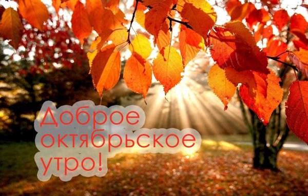 Доброе Октябрьское утро