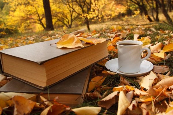 Книги про осень