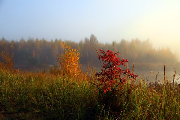 Раннее осеннее утро