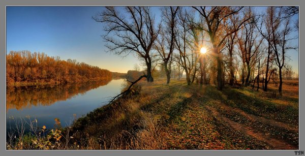 Сергей Требунских фотограф