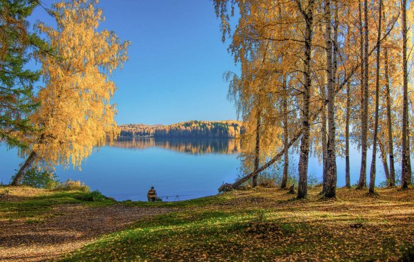 Осеннее утро