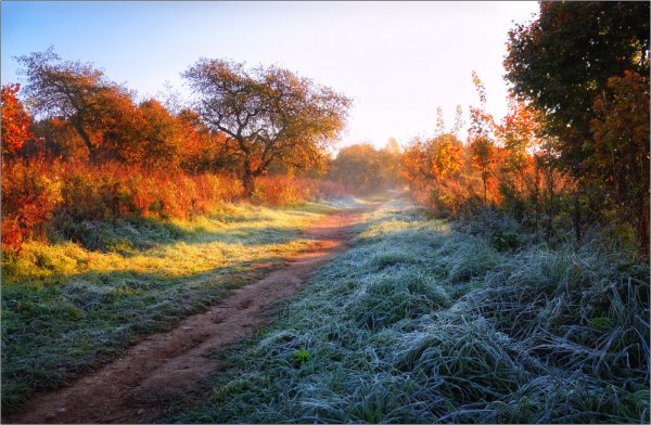 Утро осень