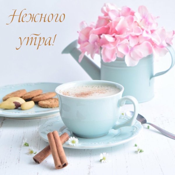 Нежное утро