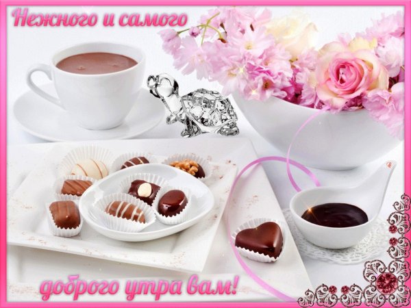 Нежные утренние цветы