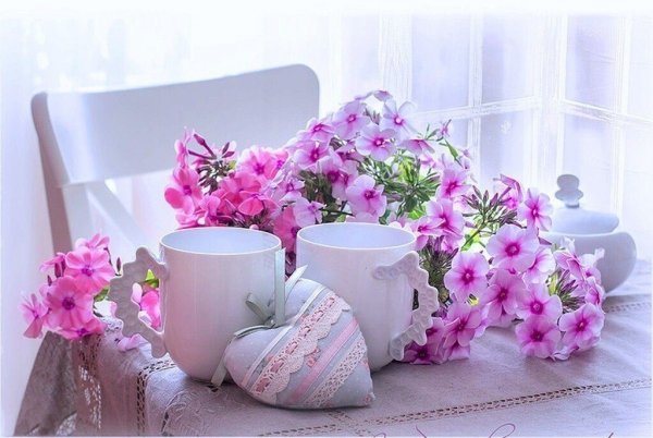 Утренняя красавица