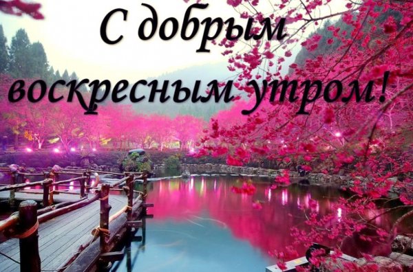 Доброготвоскресного утра