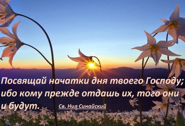 Добрый день Божьих благословений