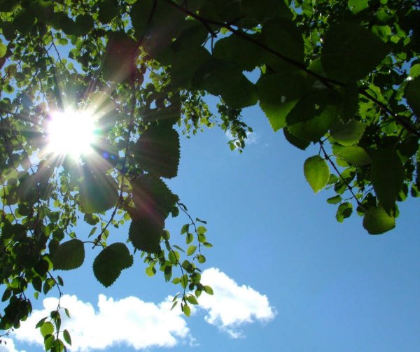 С воскресным днем правосл