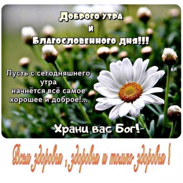 Доброе субботнее утро Весна