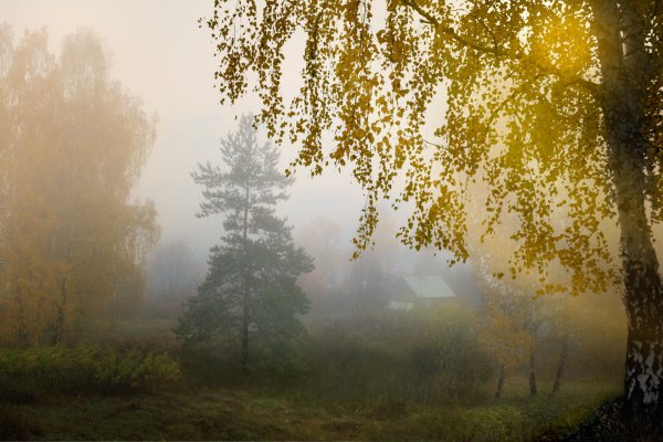 Туманное сентябрьское утро