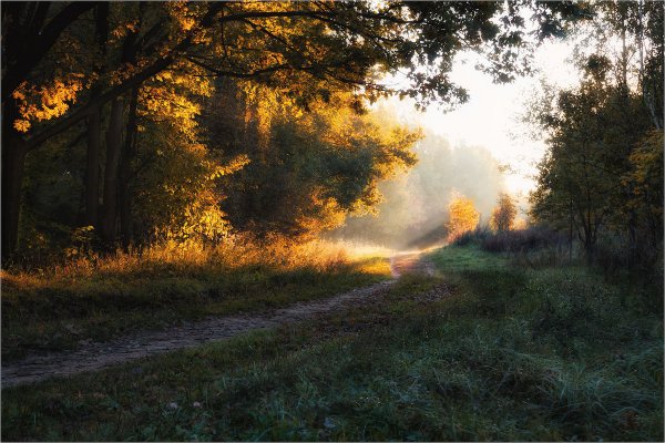 Раннее утро осень