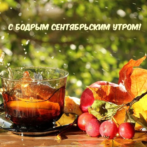 С добрым сентябрьским утром