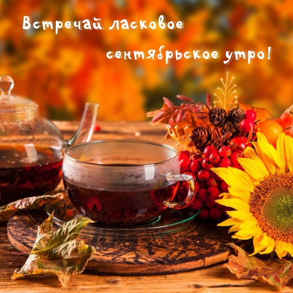 Чашка чая осень