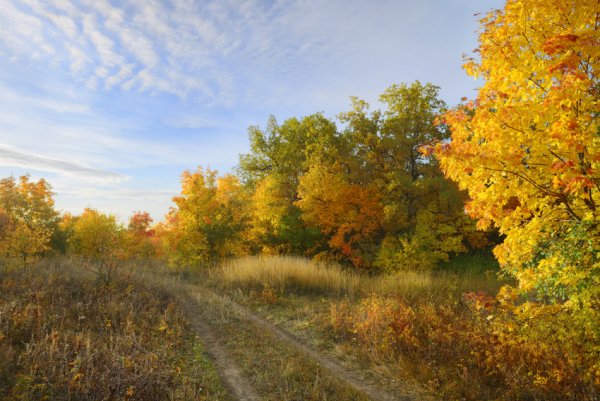 Раннее утро осень