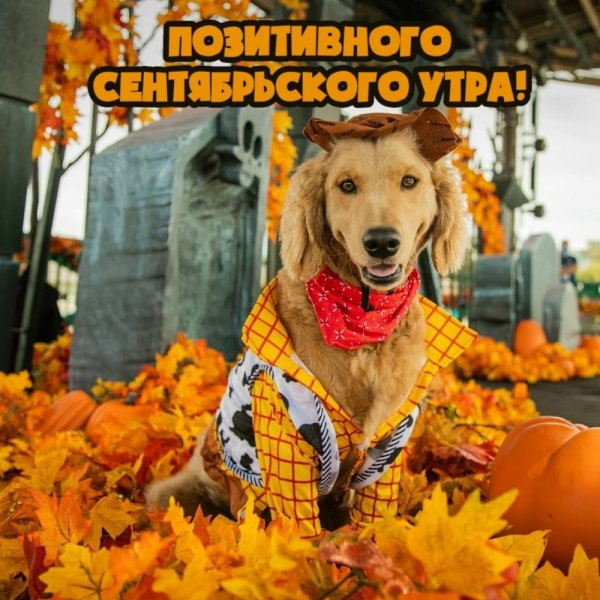 Сентябрьское утро Палмер Диана