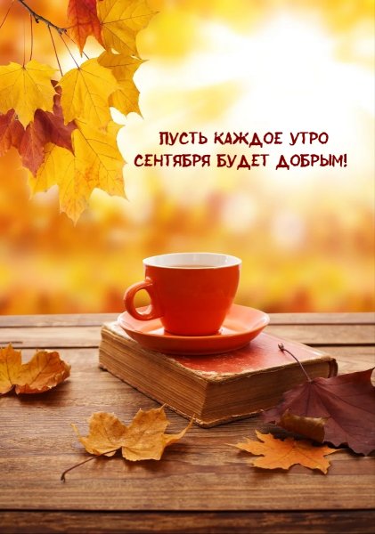 Доброе сентябрьское утро