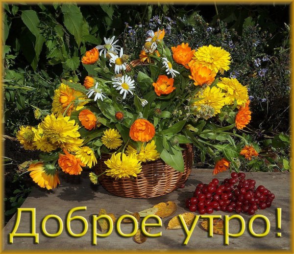 С добрым сентябрьским утром