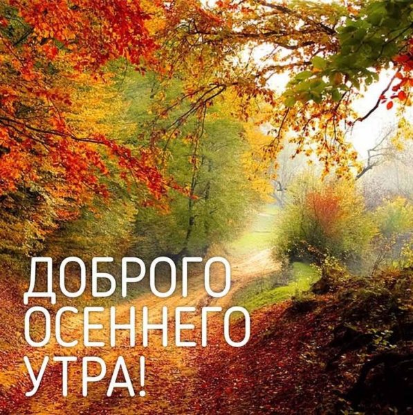 Доброе утро с осенней природой