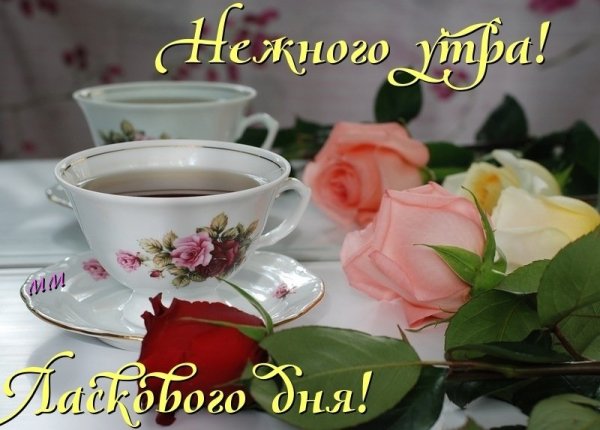 Ласкового утра и хорошего дня