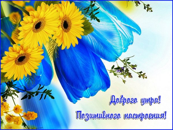 Позитивные открытки с добрым утром