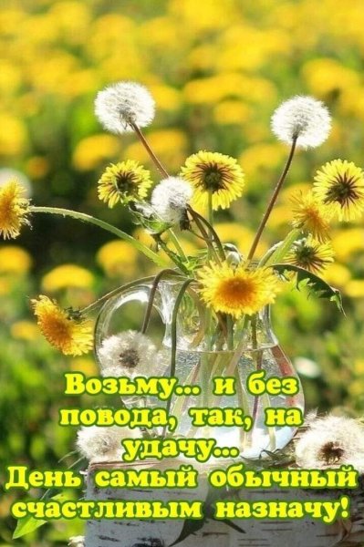 Доброе солнечное утро