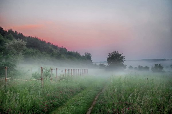 Картинка туманное утро (43 фото)